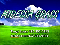 midessa grass